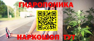 jwh Донской