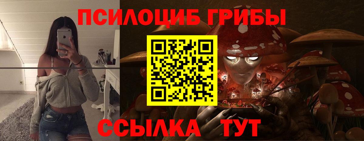 Малоярославец  Галлюциногенные грибы Psilocybe  Псилоцибиновые грибы Psilocybine cubensis  Вход с VPN 