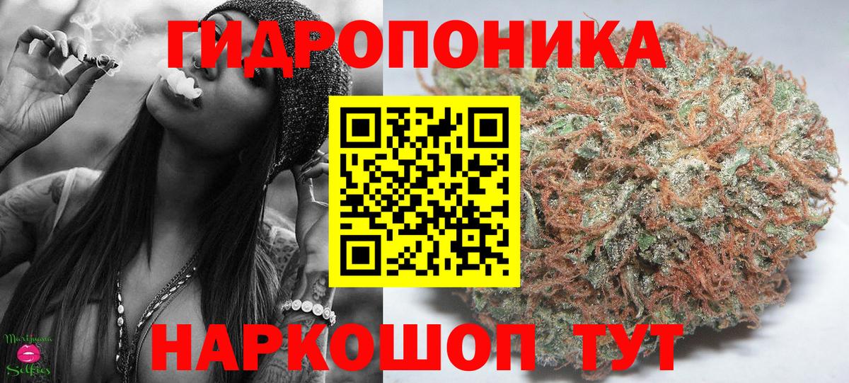 Бошки марихуана White Widow  МАРИХУАНА планчик  Малоярославец  Канабис LSD WEED  Вход с VPN 